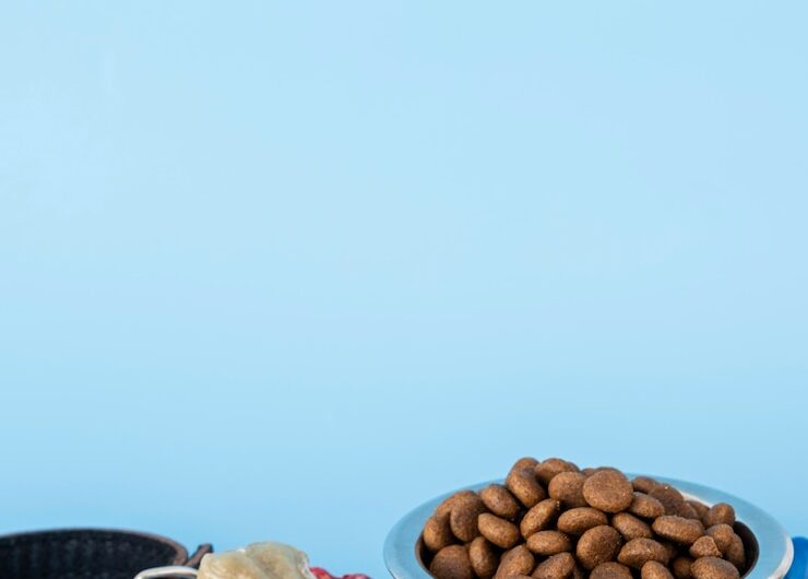 Консервированная пища для собак «Клан Вет»: состав и мнения