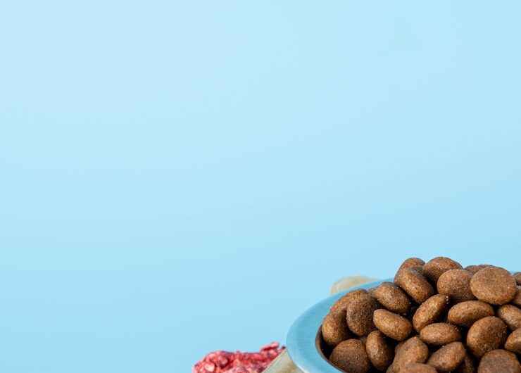 Правильное питание собаки: виды и нюансы