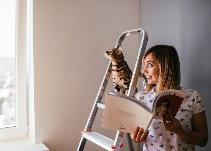 5 простых упражнений для кошки