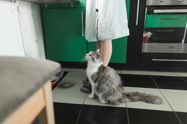 Для чего кошке хвост?