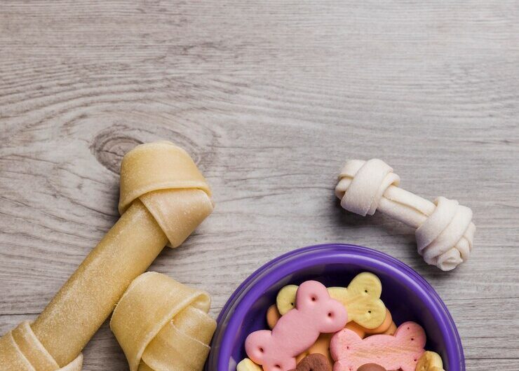 Гордость клана: консервы для собак премиум класса.