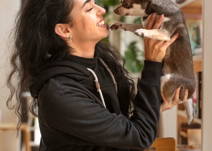 Что можно давать собакам из ягод и фруктов?