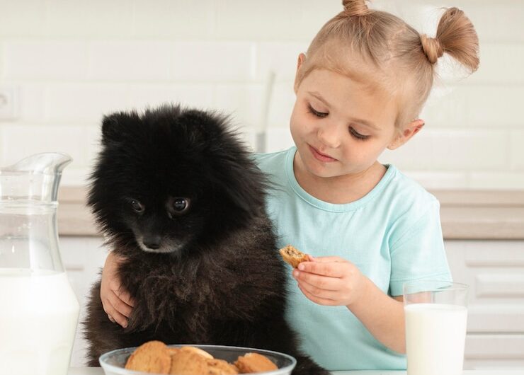 Куриная аллергия у собак: выбор рациона.