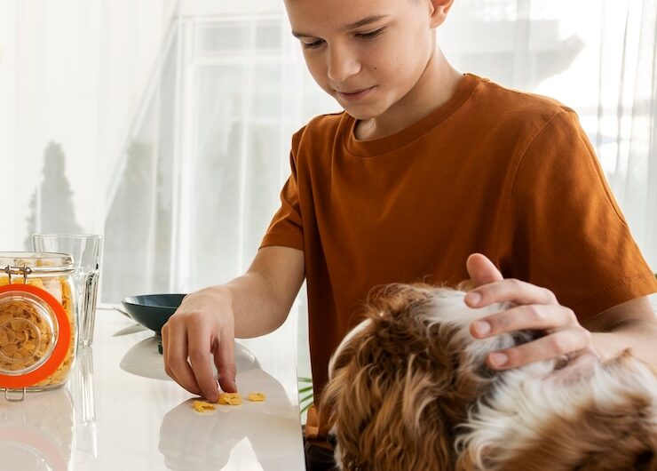 Питание крупных собак: важные моменты