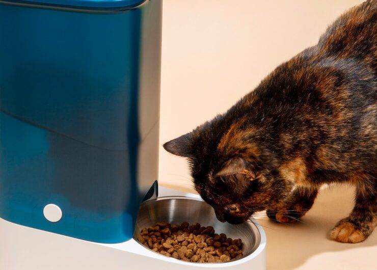 Лечебное питание Clan Vet для кошек: обзор