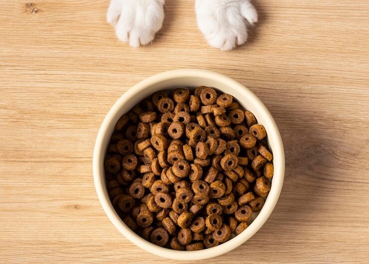 Зимой пища для домашних животных.