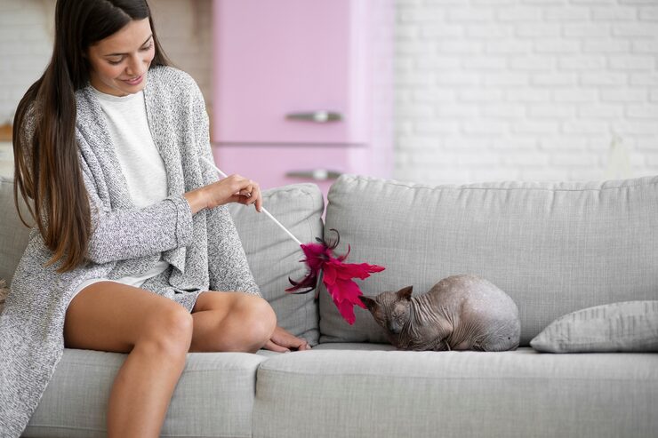 Как устранить запах кошачьей мочи