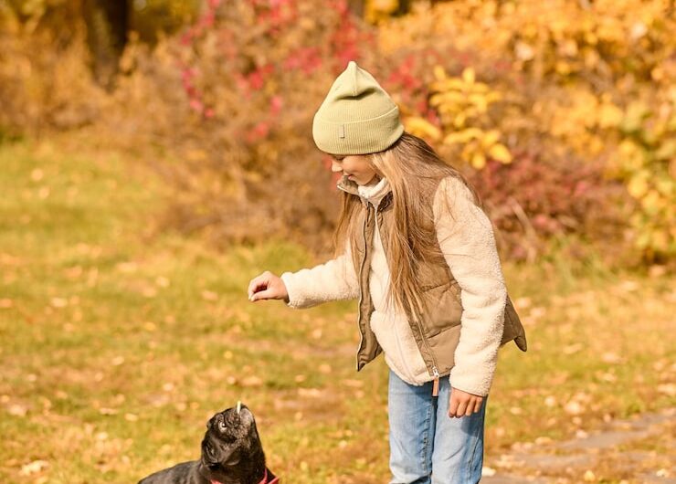 Опасности осени для собак: что нужно знать владельцам