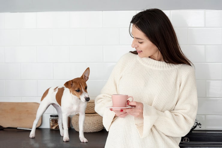 Что нужно знать о питании французских бульдогов